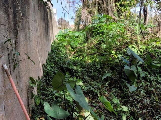 Terreno para Venda em São Paulo - 5