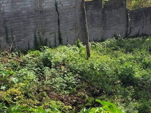 Terreno para Venda em São Paulo - 4