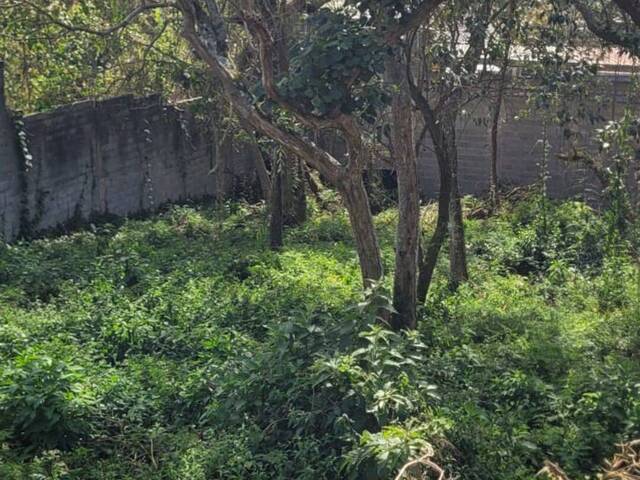 #1061 - Terreno para Venda em São Paulo - SP - 3
