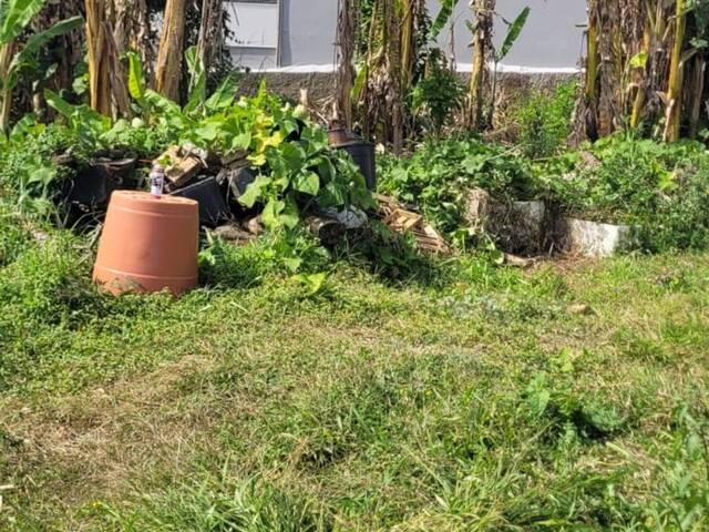 #1061 - Terreno para Venda em São Paulo - SP - 2