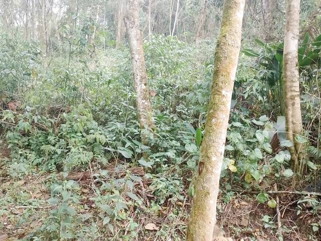 Terreno para Venda em Mairiporã - 5