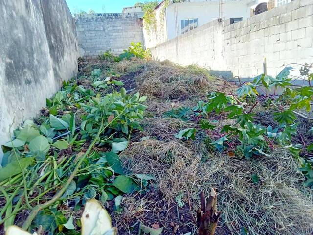 Terreno para Venda em São Paulo - 5